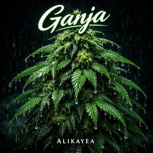 Alikayea (Ganja)