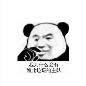 【欧洲杯/莱万】万总我不干了啦——2020欧洲杯特别版