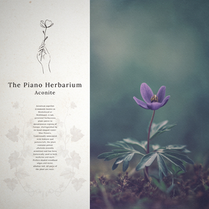 Aconite