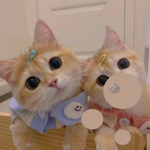 宇宙星神（remix）