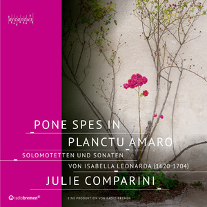 Motetti a voce sola con istromenti, Op. 20: No. 9, Qui Mariam amatis