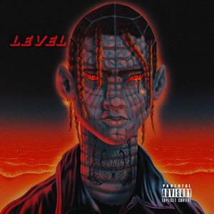 Level