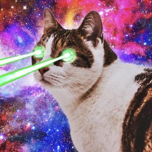 喵星人（Prod.by BLACKFAT洪汝超 x 毒猫毒猫）