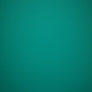 感恩相伴未来可期