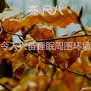 抚慰的回春回忆