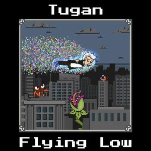 Flying Low (Original Mix)