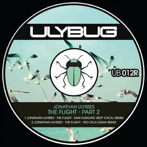 The Flight (Sam Dungate Deep Vocal Remix)