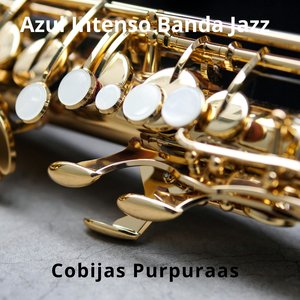 Brillo Nocturno Banda Disco