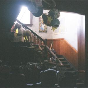 nuzlocke live (Live)