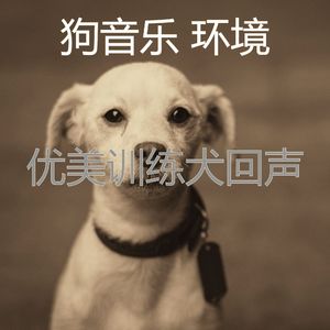 温和小狗梦想