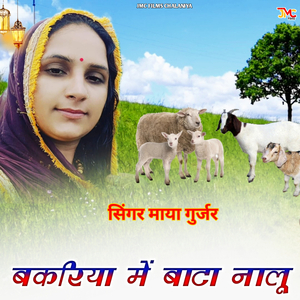 Bakriya Me Bata Nalu