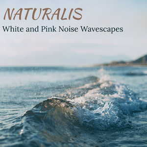 In the Eye of the Storm (White Noise Wavescape)