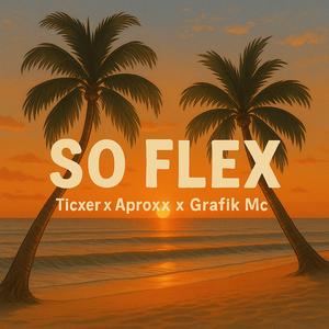 So Flex (feat. Aproxx & Grafik Mc)