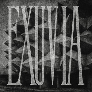 Exuvia
