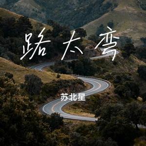 路太弯 (Cover 潘玮柏)