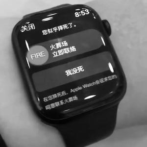随便Diss(想骂就骂)