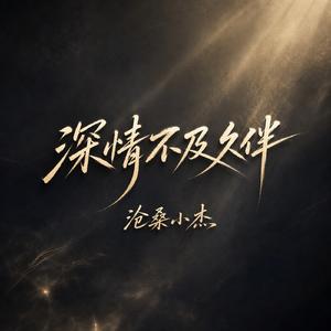 深情不及久伴
