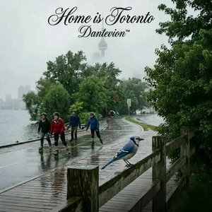 Home is Toronto