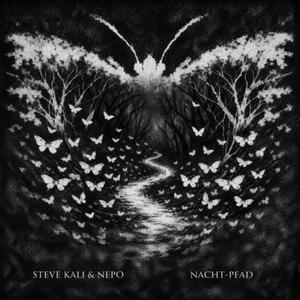 Nacht-Pfad