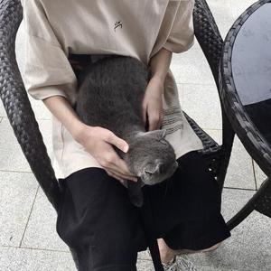 年轮(吉他版)（翻自 张碧晨）