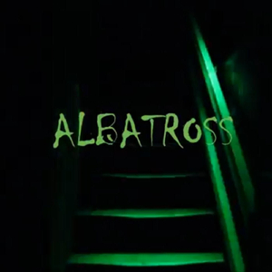 Albatross