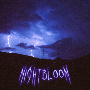 NIGHTBLOOM