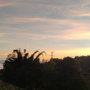 夕照