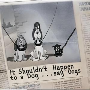 Wtf is imaginationship?