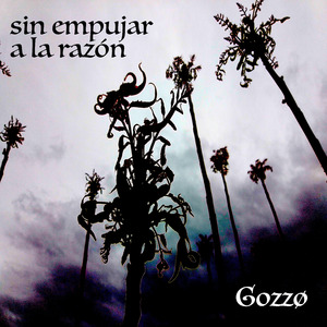Sin Empujar a la Razón