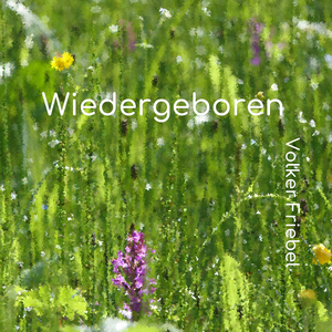 Wiedergeboren (Single Edit)
