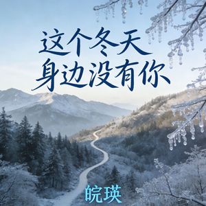 这个冬天身边没有你