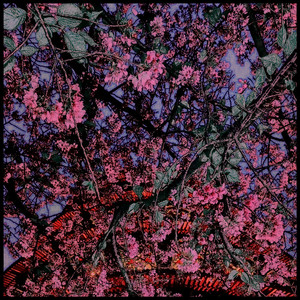 樱花客栈(Mask Off Remix)