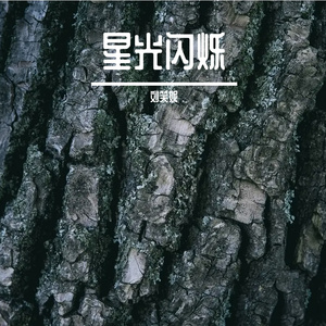 星光闪烁