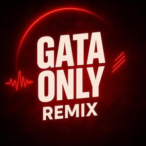 Gata Only (remix)