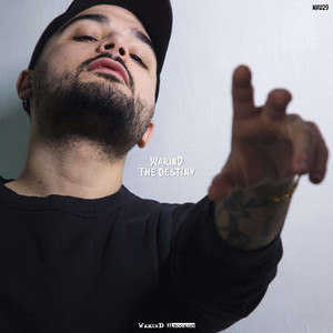 The Destiny (Original Mix)