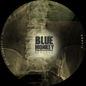 Raveolution (Original Mix)