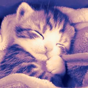 how do you sleep at night?