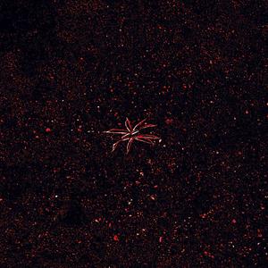 traded (feat. kleio)