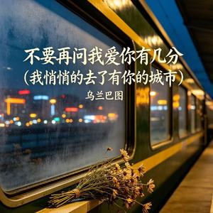 不要再问我爱你有几分(我悄悄的去了有你的城市)