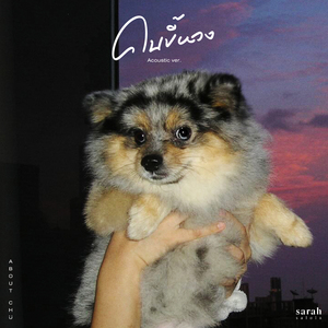 คนขี้หวง (Acoustic)