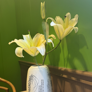 你是我的阳光男孩