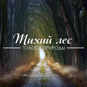 При полной луне