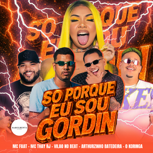 SO PORQUE EU SOU GORDIN