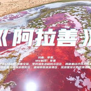 阿拉善