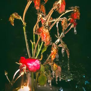 Diamante Marfil (feat. Ojosrojos & Visionary)