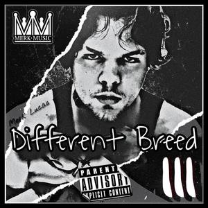 B*****s (feat. Ron Don)