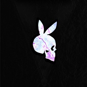 In the Ring Freestyle