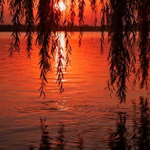 娘怀儿 (对唱版)