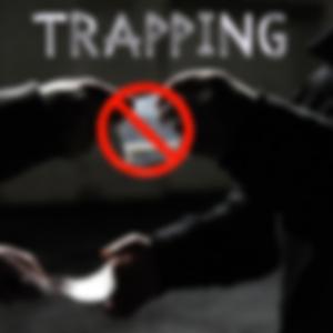 TRAPPING (feat. Tantskii, Blacka, Big Trudes, Big S & Black Jack UK)