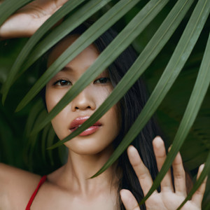 Pfefferkuchengewuerz